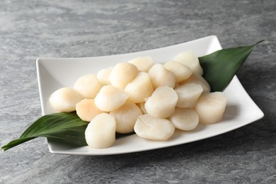 Photo of Fresh raw scallops on grey table. Seafood