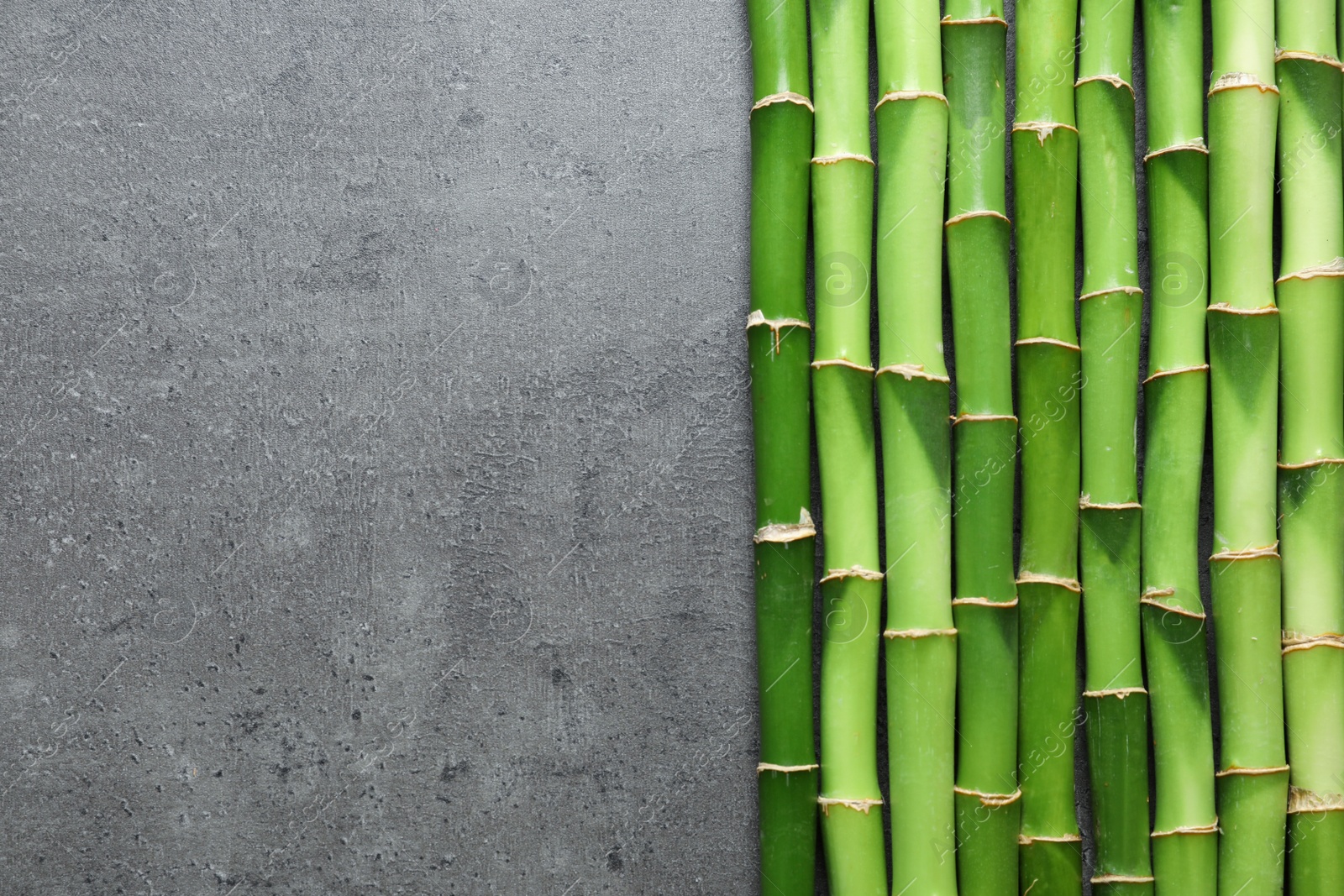 Photo of Green bamboo stems and space for text on grey background, top view