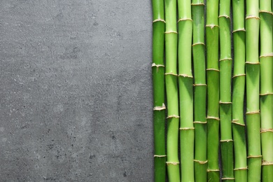 Green bamboo stems and space for text on grey background, top view