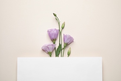 Photo of Flat lay composition with beautiful Eustoma flowers and card on beige background, space for text