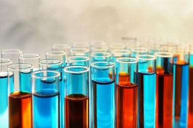 Photo of Many test tubes with different liquid samples on color background, closeup