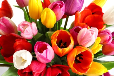 Photo of Beautiful bouquet of bright tulip flowers on light background, closeup