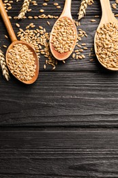 Spoons, wheat grains and spikelets on black wooden table, flat lay. Space for text