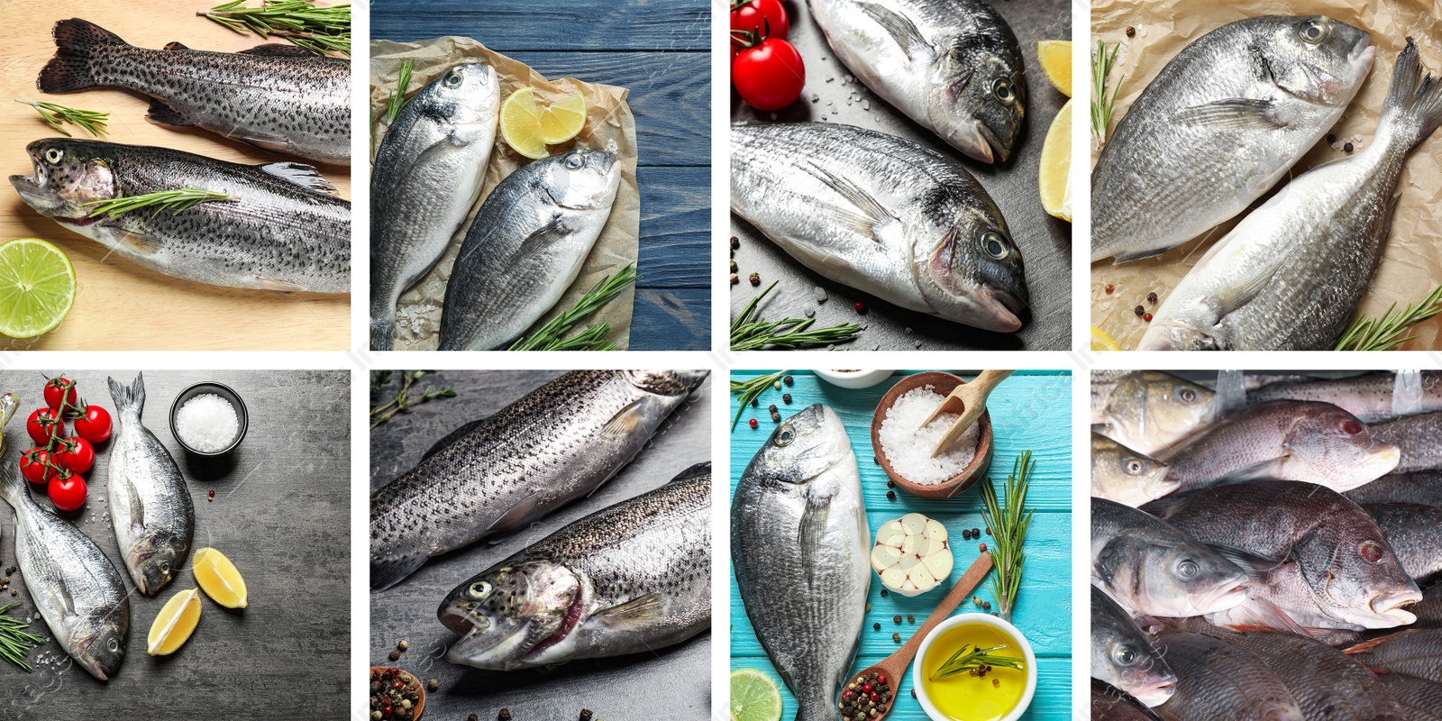 Image of Collage with different delicious fresh raw fishes