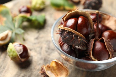 Photo of Horse chestnuts in bowl on table, closeup. Space for text