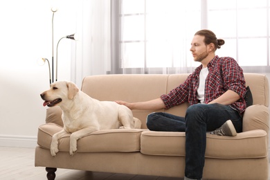 Photo of Adorable yellow labrador retriever with owner on couch indoors