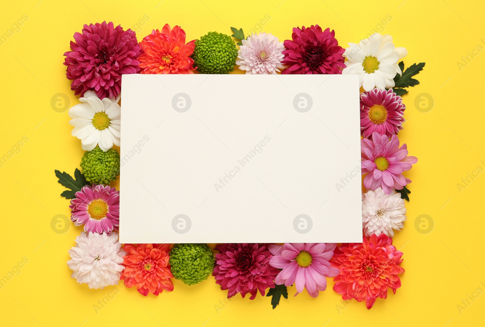 Photo of Frame made of beautiful chrysanthemum flowers and blank card on yellow background, flat lay. Space for text