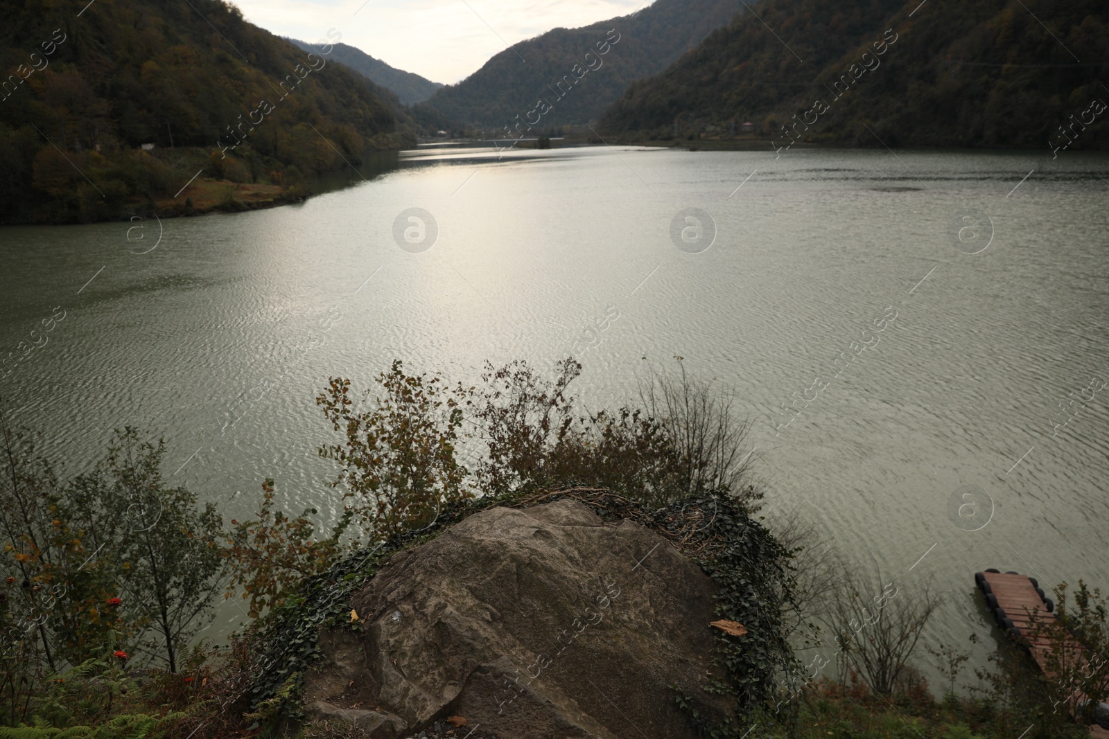 Photo of Picturesque view of beautiful river and green plants in mountains