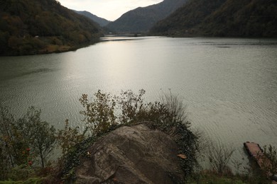 Photo of Picturesque view of beautiful river and green plants in mountains