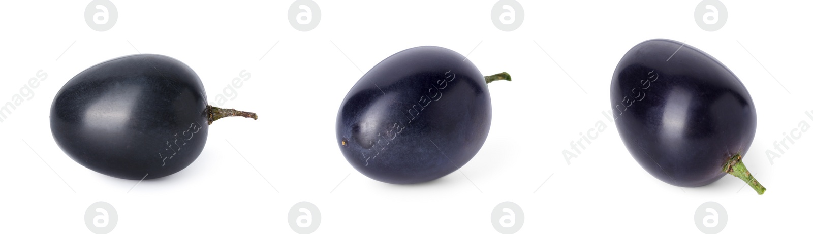 Image of Delicious fresh dark blue grapes isolated on white, set