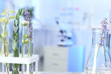 Photo of Test tubes and flask with different plants in laboratory, closeup