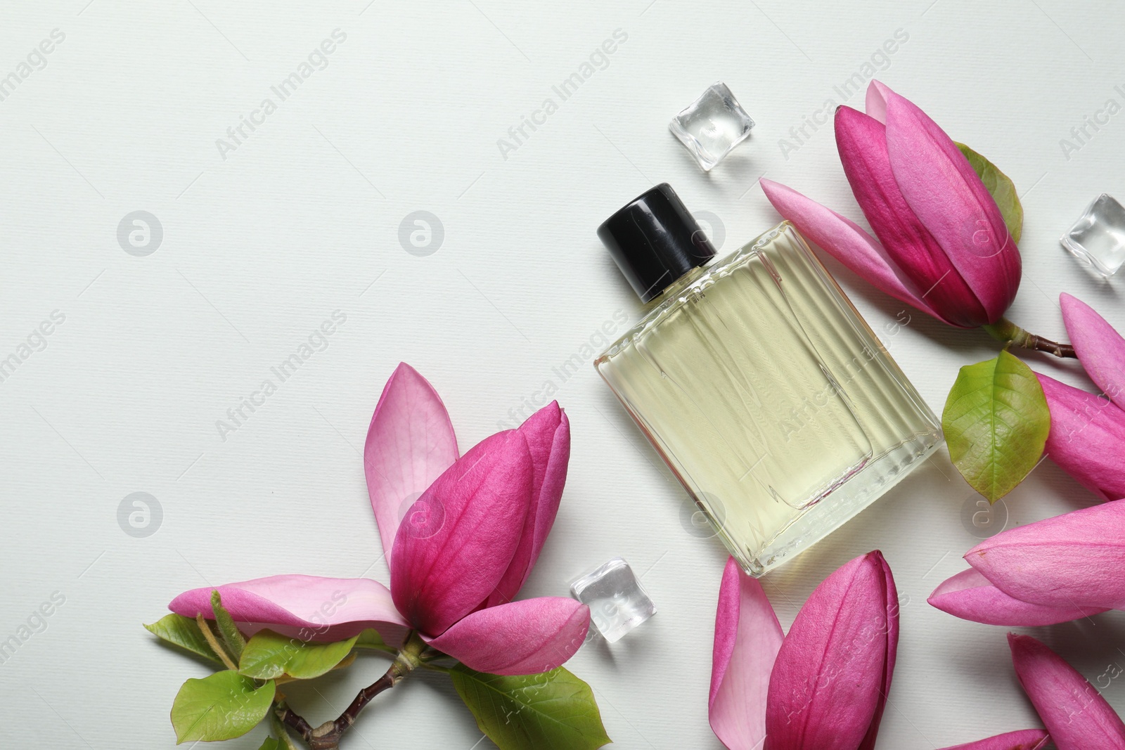 Photo of Beautiful pink magnolia flowers, bottle of perfume and ice cubes on light grey background, flat lay. Space for text