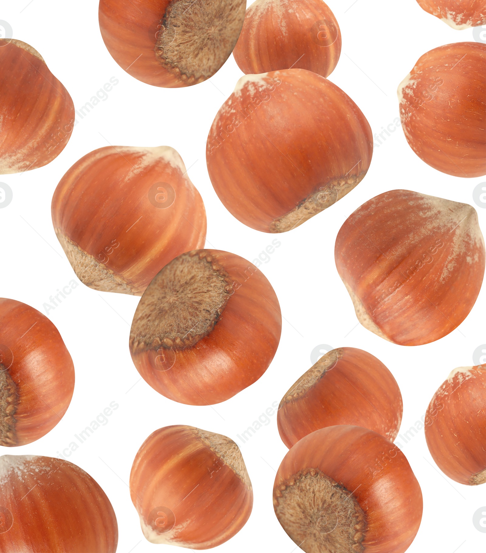 Image of Tasty hazelnuts falling on white background. Healthy snack