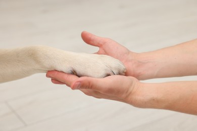 Photo of Dog giving paw to man at home, closeup