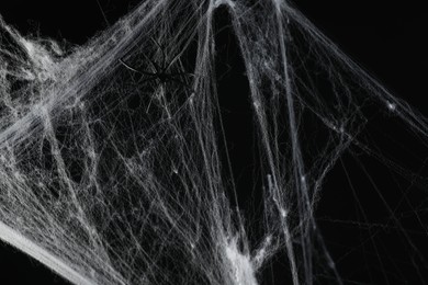 Photo of Spider on white cobweb against black background