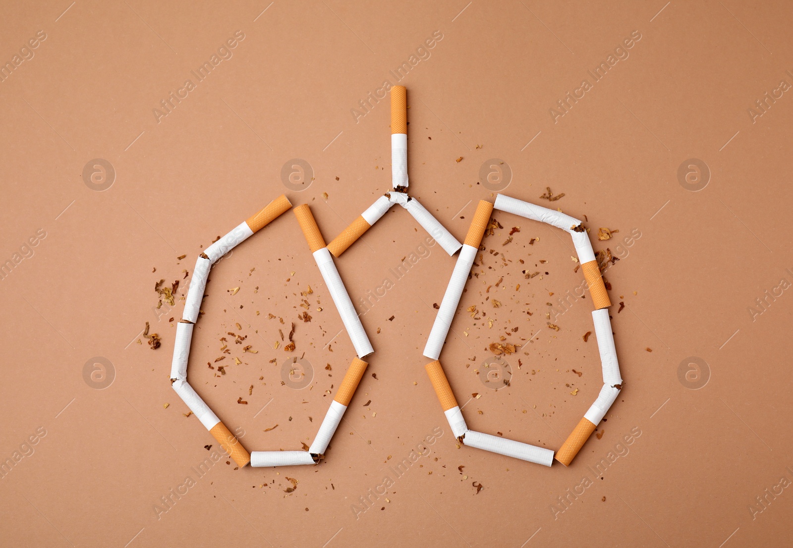 Photo of No smoking concept. Lungs made of cigarettes and dry tobacco on brown background, flat lay