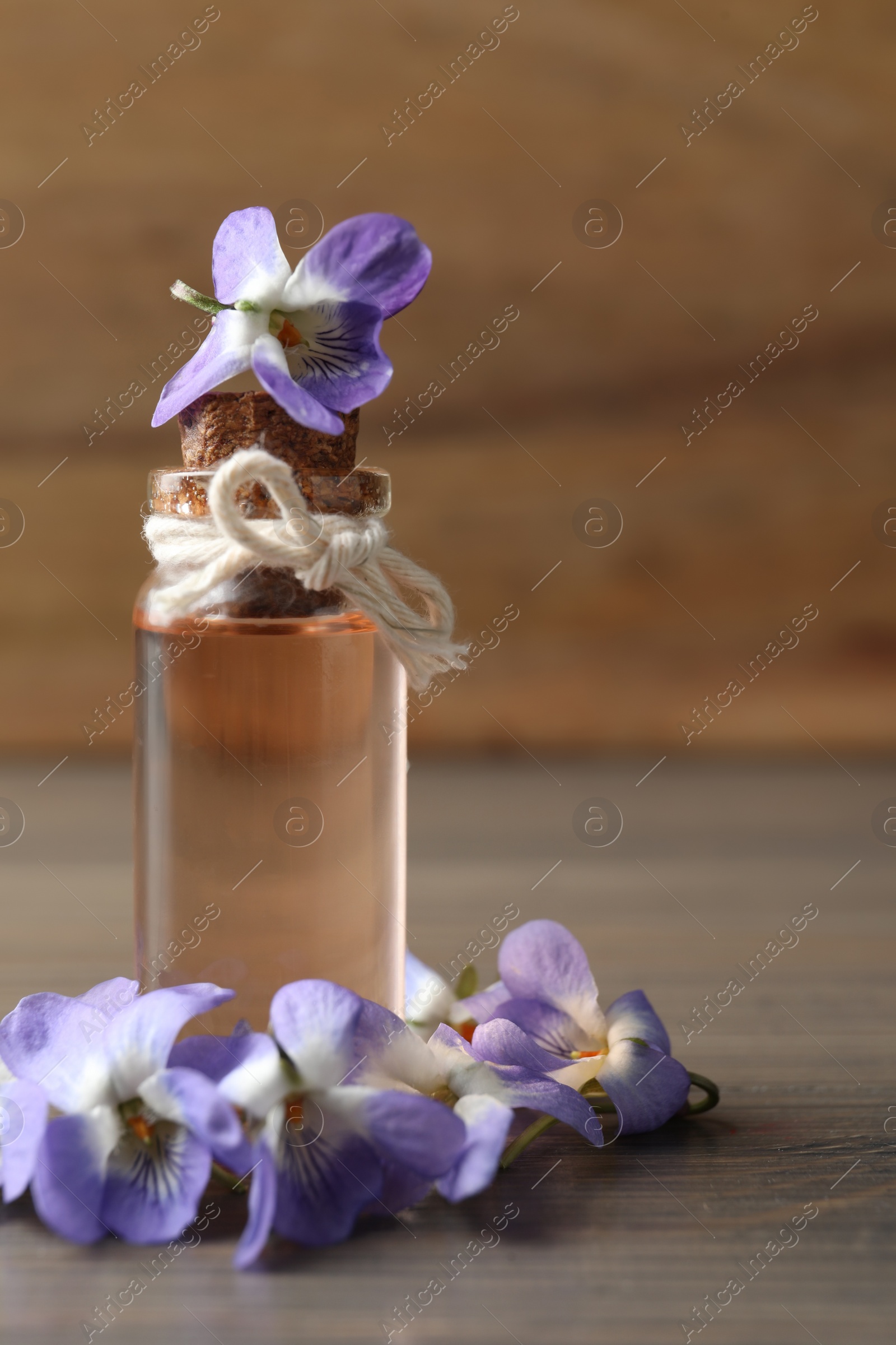 Photo of Beautiful wild violets and essential oil on wooden table. Spring flowers