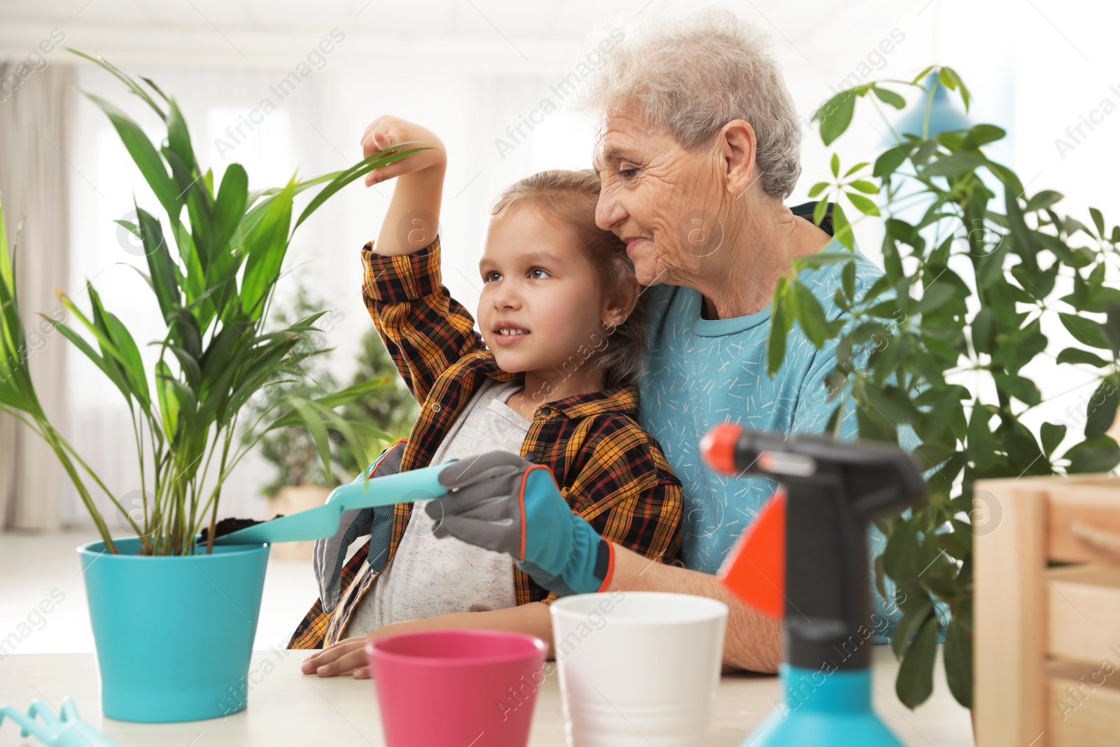 Photo of Little girl and her grandmother taking care of plants indoors