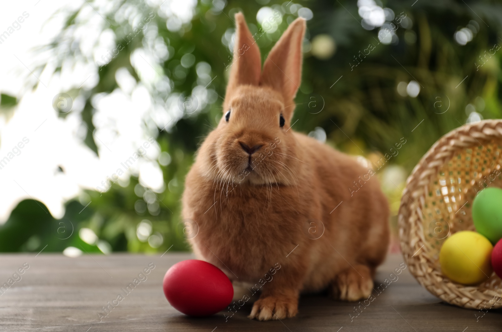 Photo of Cute bunny and Easter egg on table against blurred background