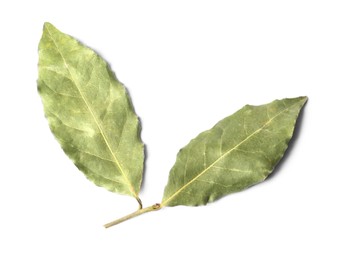 Sprig of aromatic bay leaves on white background, top view