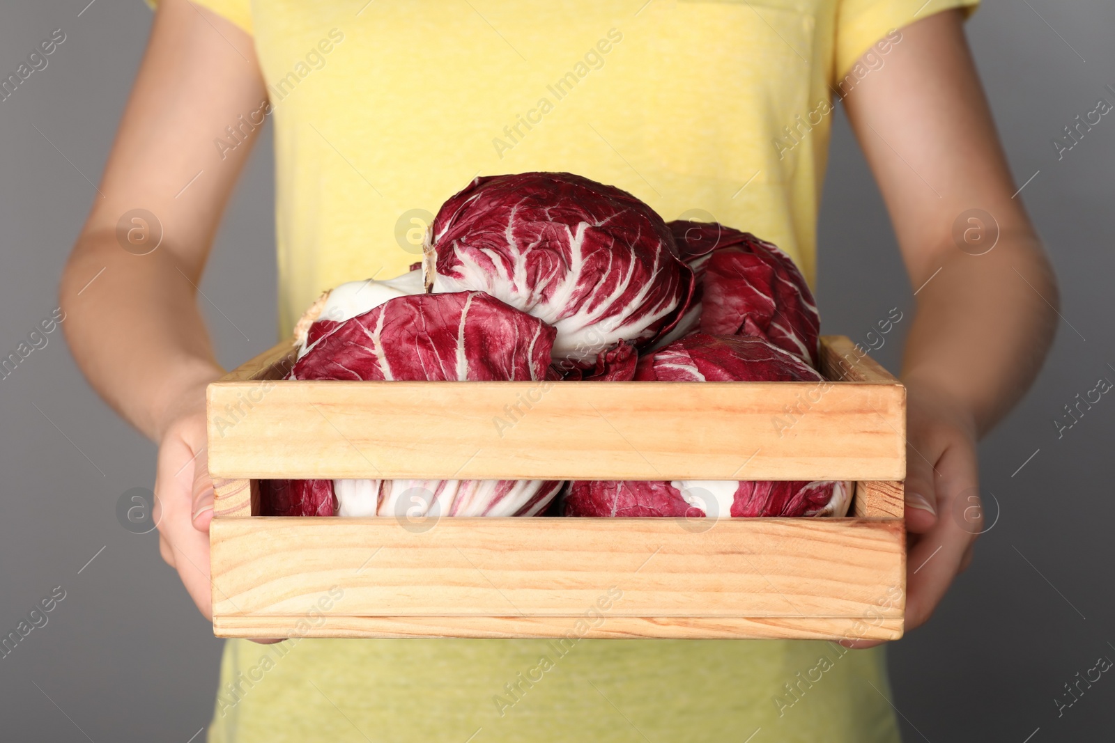 Photo of Woman with ripe radicchios on grey background, closeup