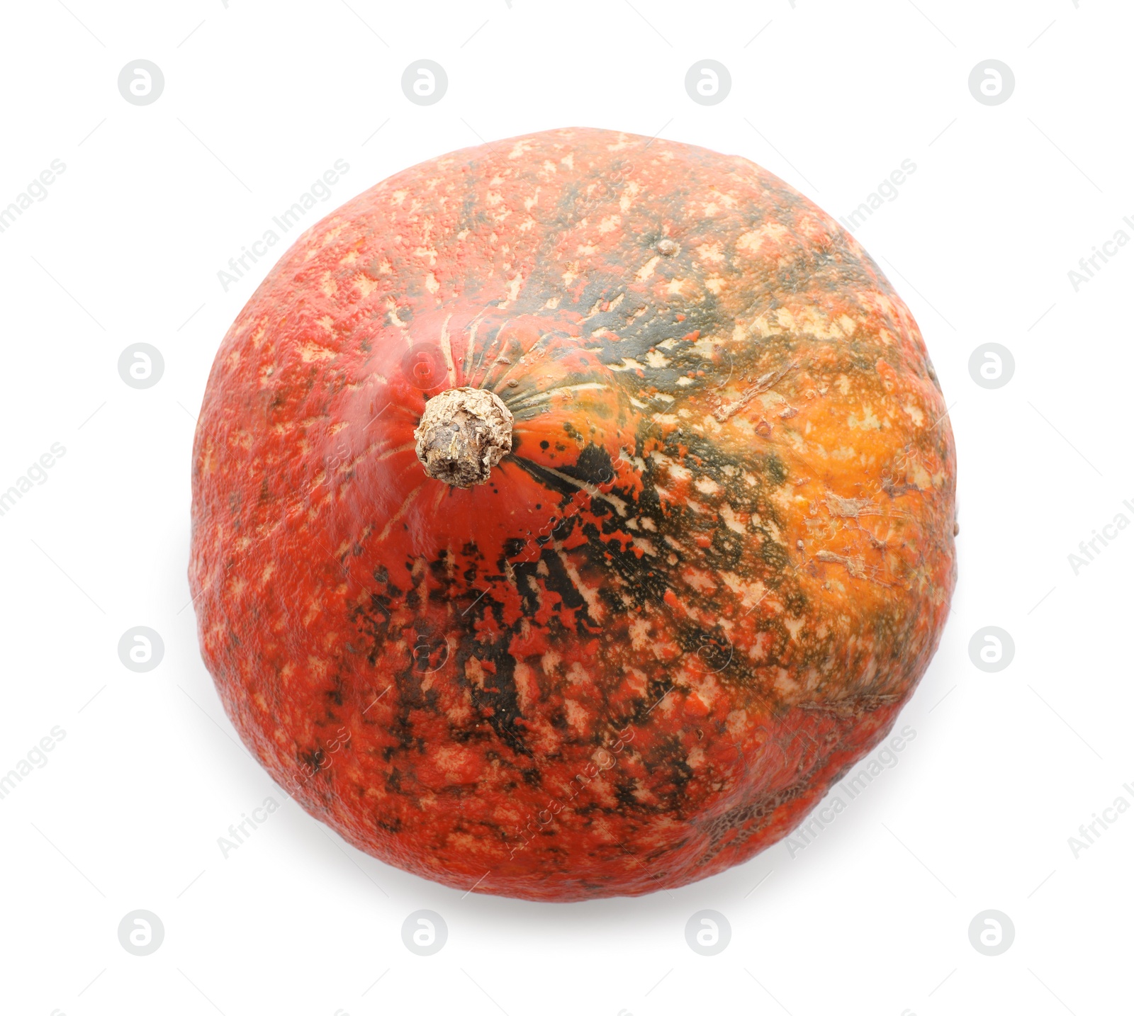 Photo of Fresh raw pumpkin isolated on white, top view. Organic plant