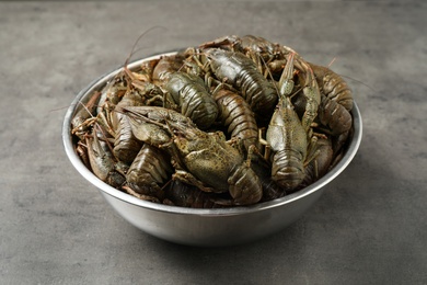 Fresh raw crayfishes in bowl on grey table