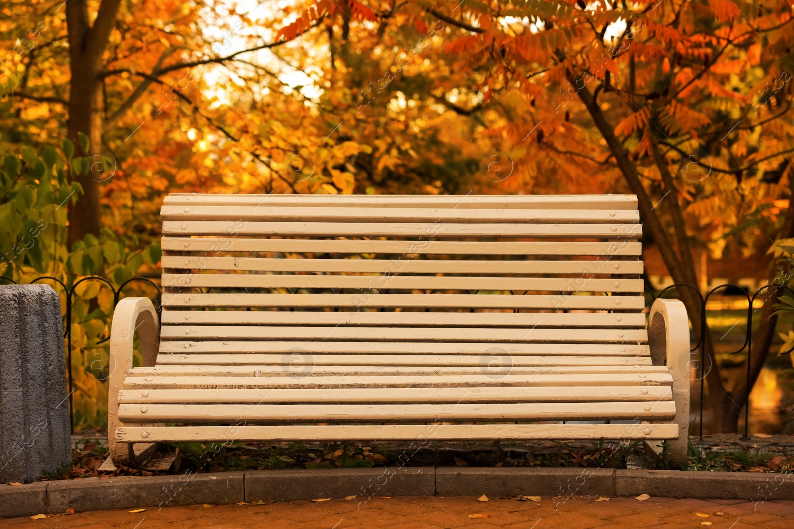 Photo of Beige wooden bench and yellowed trees in park