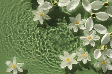 Photo of Beautiful flowers in water on green background, top view. Space for text