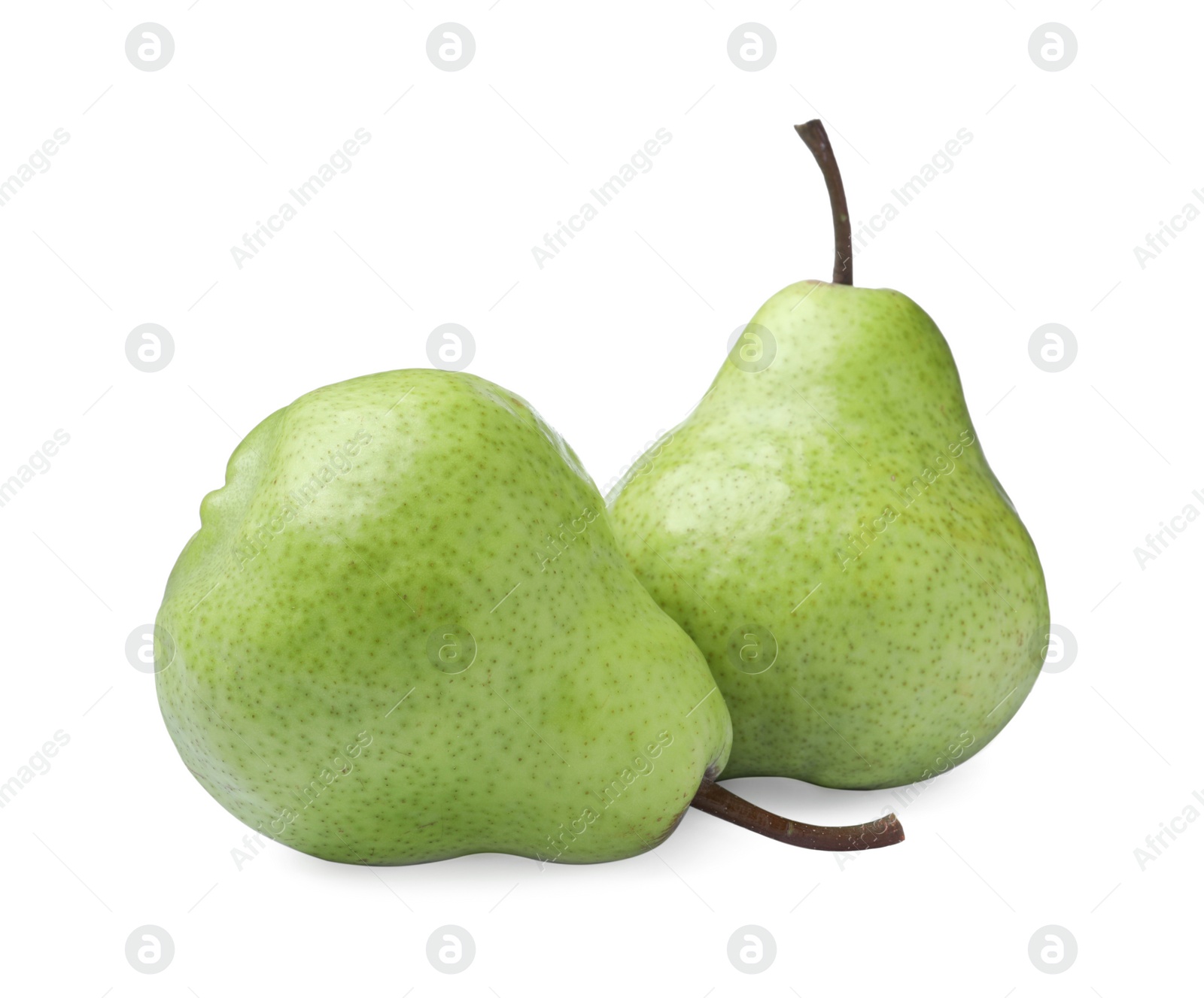 Photo of Two fresh ripe pears on white background