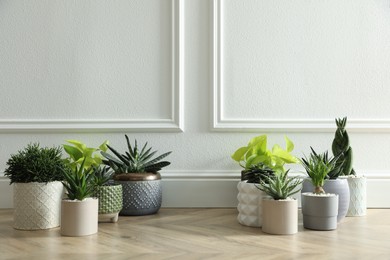 Different potted plants on floor near white wall, space for text. Floral house decor