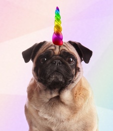 Image of Cute dog with rainbow unicorn horn on color background