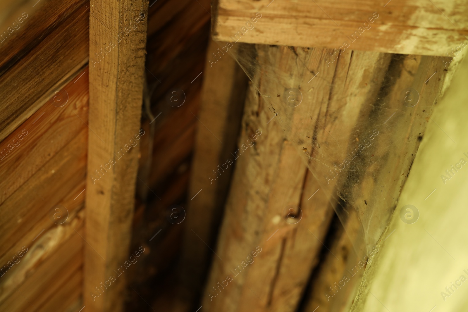 Photo of Dusty cobweb on wooden building outdoors, closeup