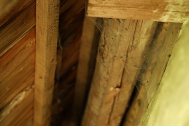 Dusty cobweb on wooden building outdoors, closeup