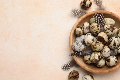 Photo of Speckled quail eggs and feathers on beige background, flat lay. Space for text
