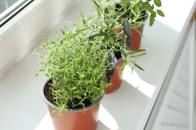 Photo of Different fresh potted herbs on windowsill indoors, closeup