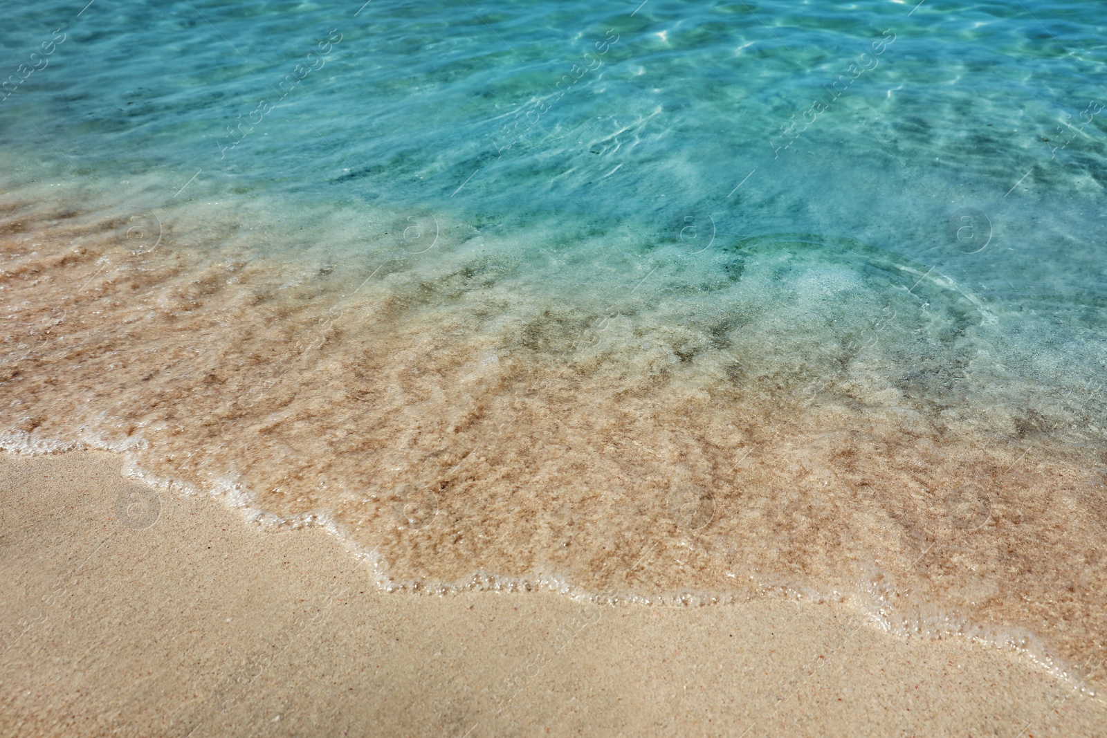 Photo of Picturesque view on sandy beach near ocean