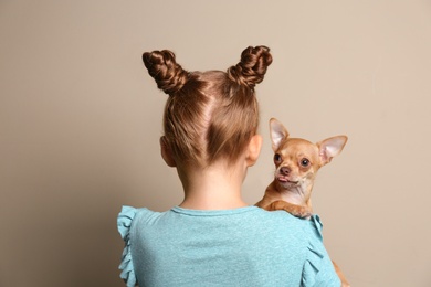 Little girl with her Chihuahua dog on grey background, back view. Childhood pet