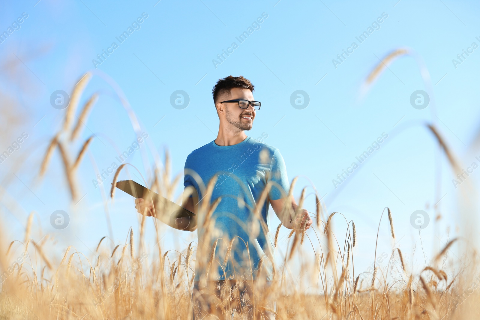 Photo of Agronomist with clipboard in wheat field. Cereal grain crop