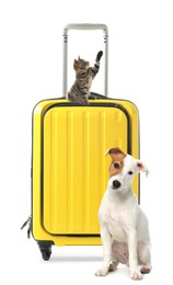 Cute cat and dog with bright yellow suitcase packed for journey on white background. Travelling with pet