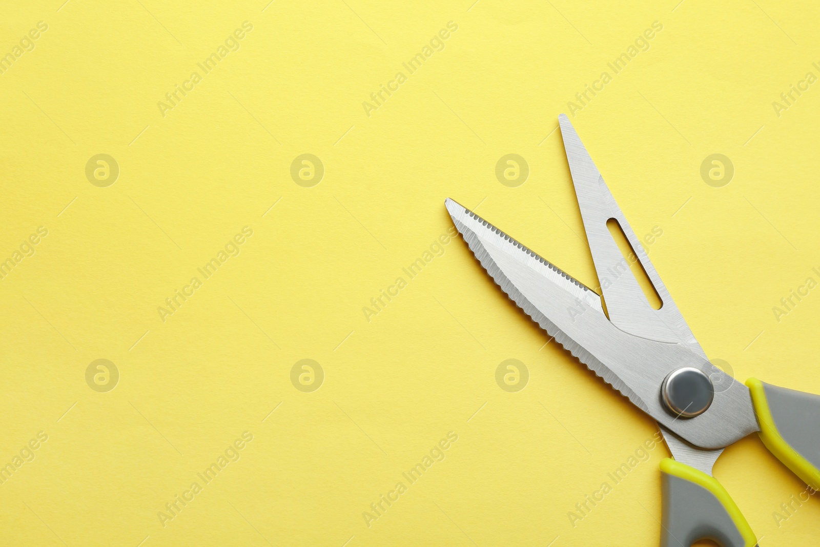 Photo of Kitchen scissors on color background, top view. Space for text