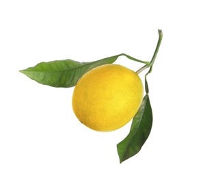 Photo of Fresh ripe lemon fruit with green leaves isolated on white