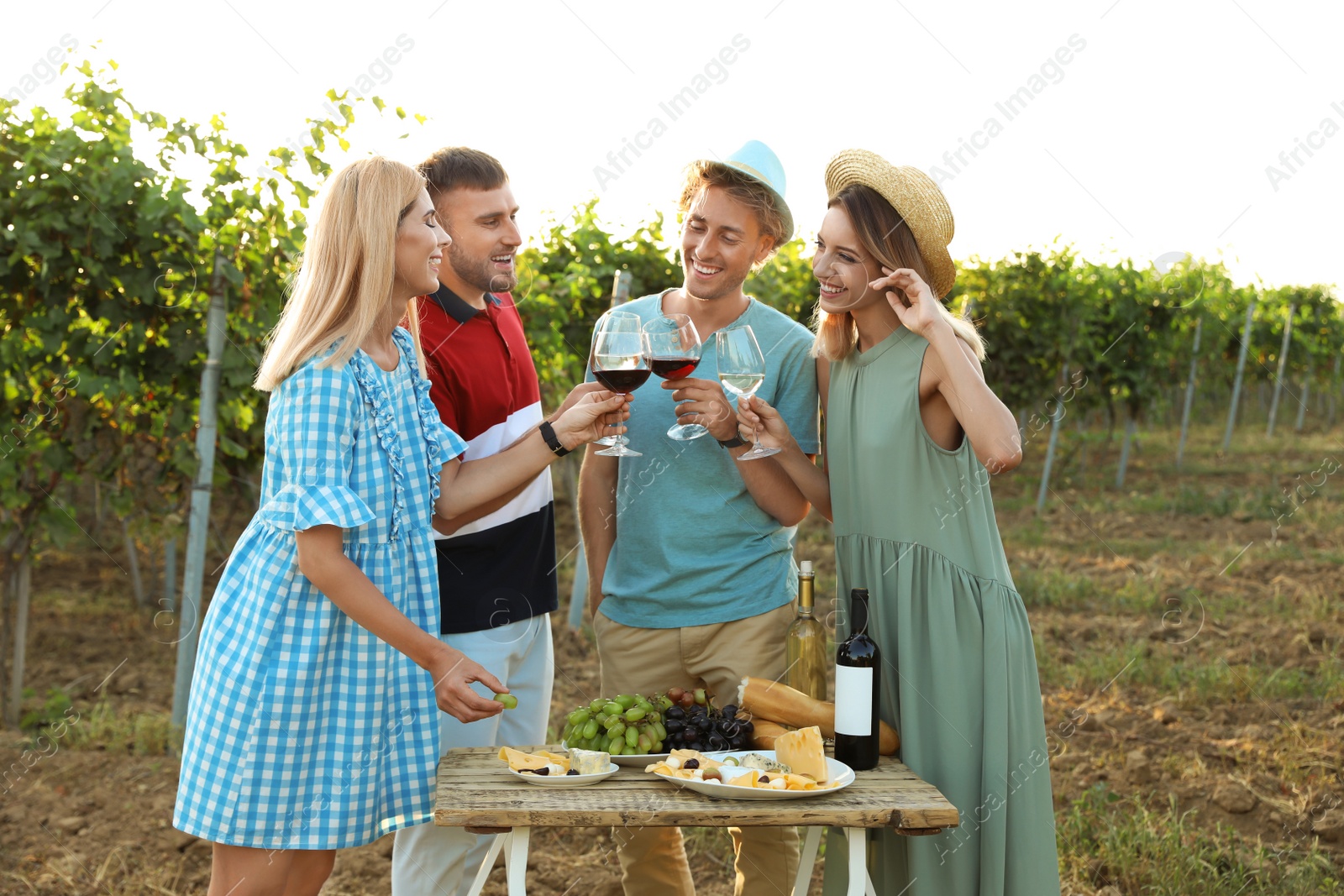 Photo of Friends holding glasses of wine and having fun on vineyard picnic