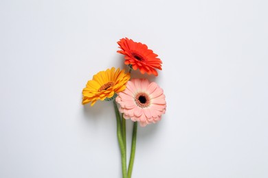 Photo of Beautiful colorful gerbera flowers on white background, flat lay