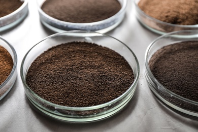 Photo of Petri dishes with soil samples on grey table, closeup. Laboratory research