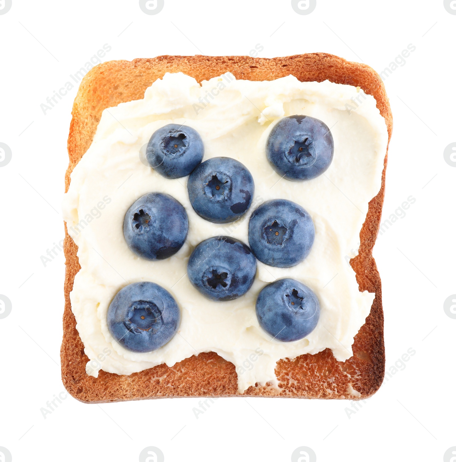 Photo of Tasty sandwich with cream cheese and blueberries isolated on white, top view