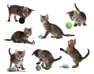 Image of Adorable kittens playing with toys on white background, collage. Lovely pet 