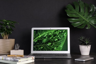 Photo of Houseplants and laptop on table in office interior