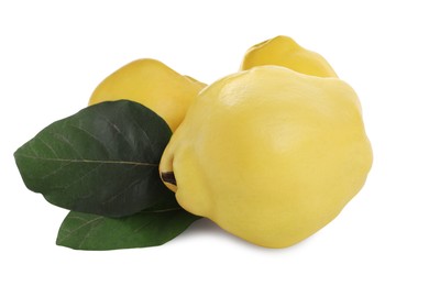 Photo of Ripe fresh quinces with green leaves on white background