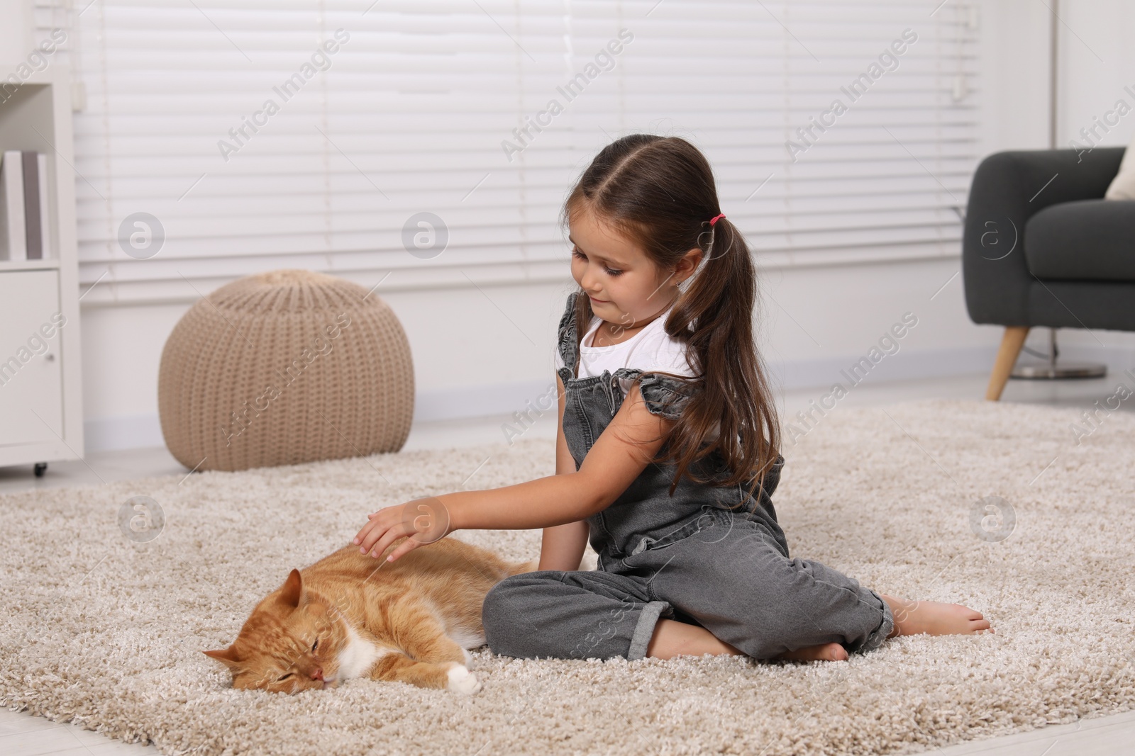 Photo of Little girl and cute ginger cat on carpet at home